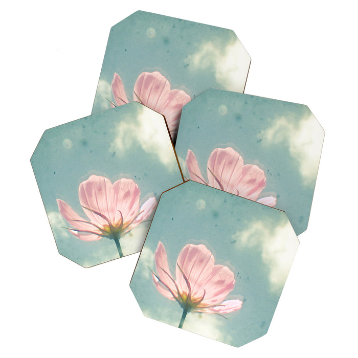 Pink Cosmos Coaster Gallery Image 1