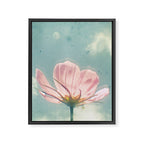 Pink Cosmos Framed Canvas Print Gallery Image 8