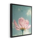 Pink Cosmos Framed Canvas Print Gallery Image 2