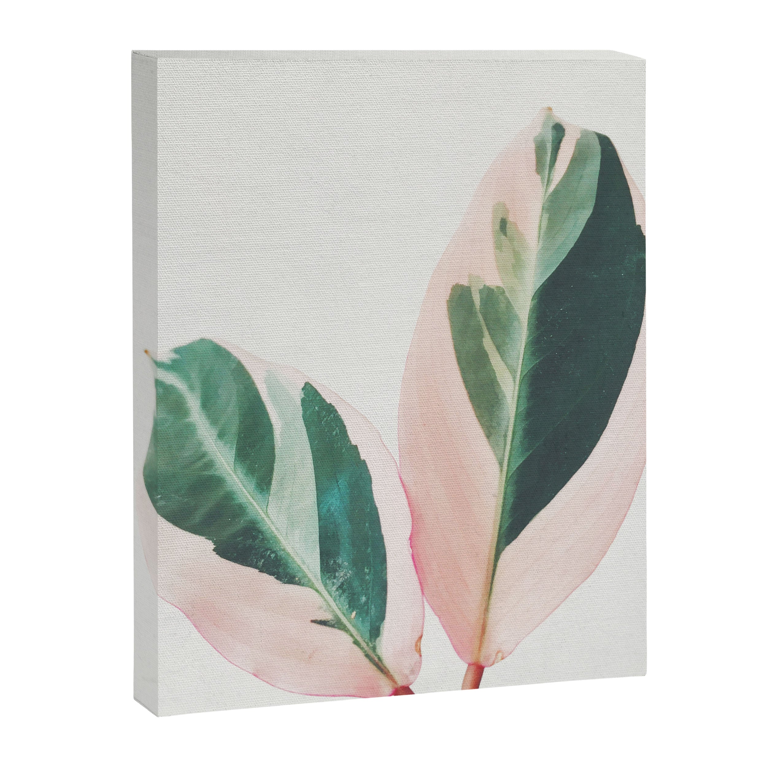 Pink Leaves I Canvas Print Gallery Image 8