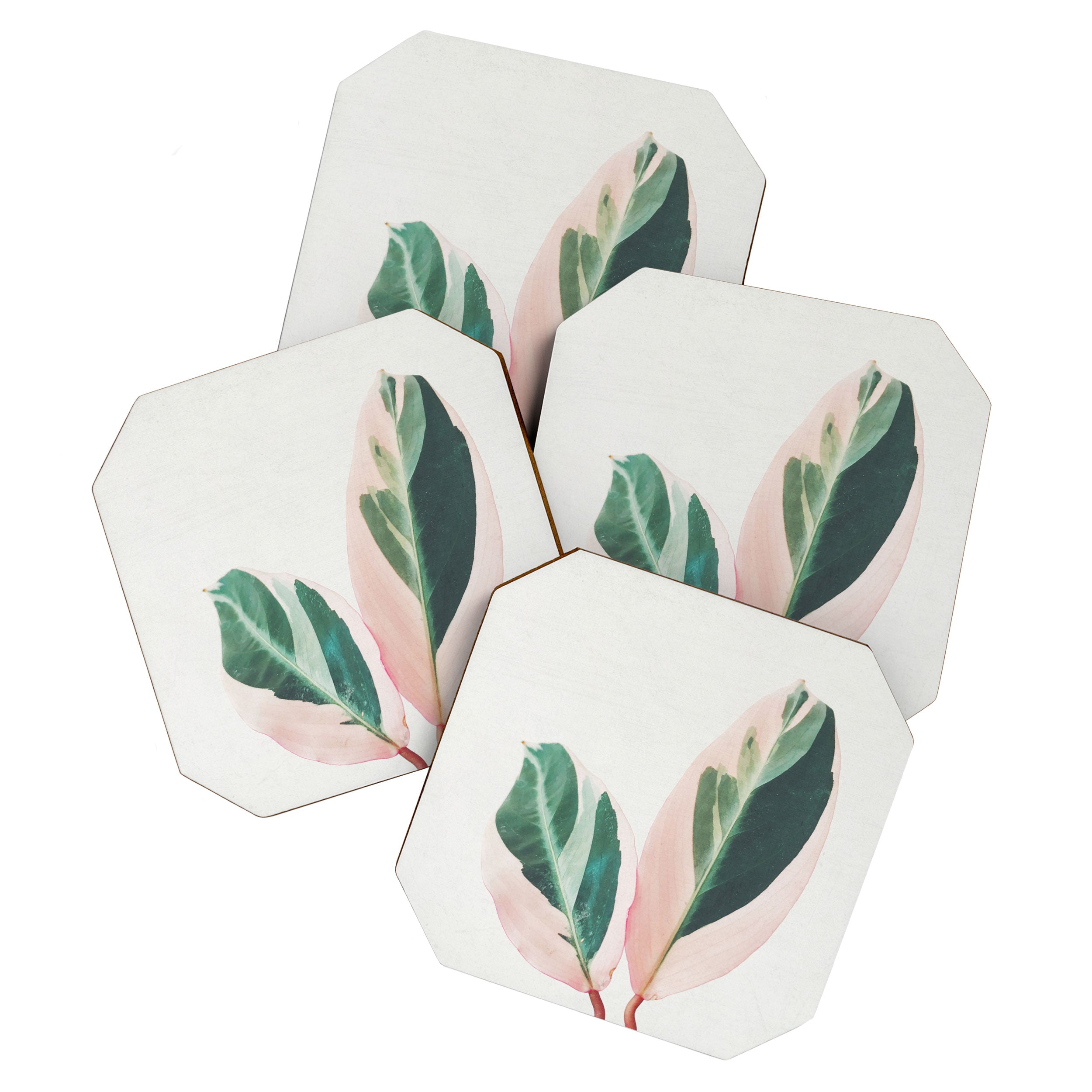 Pink Leaves I Coaster Gallery Image 1