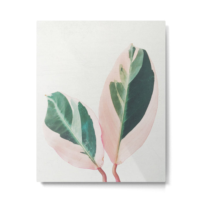 Pink Leaves I Metal Print Gallery Image 1