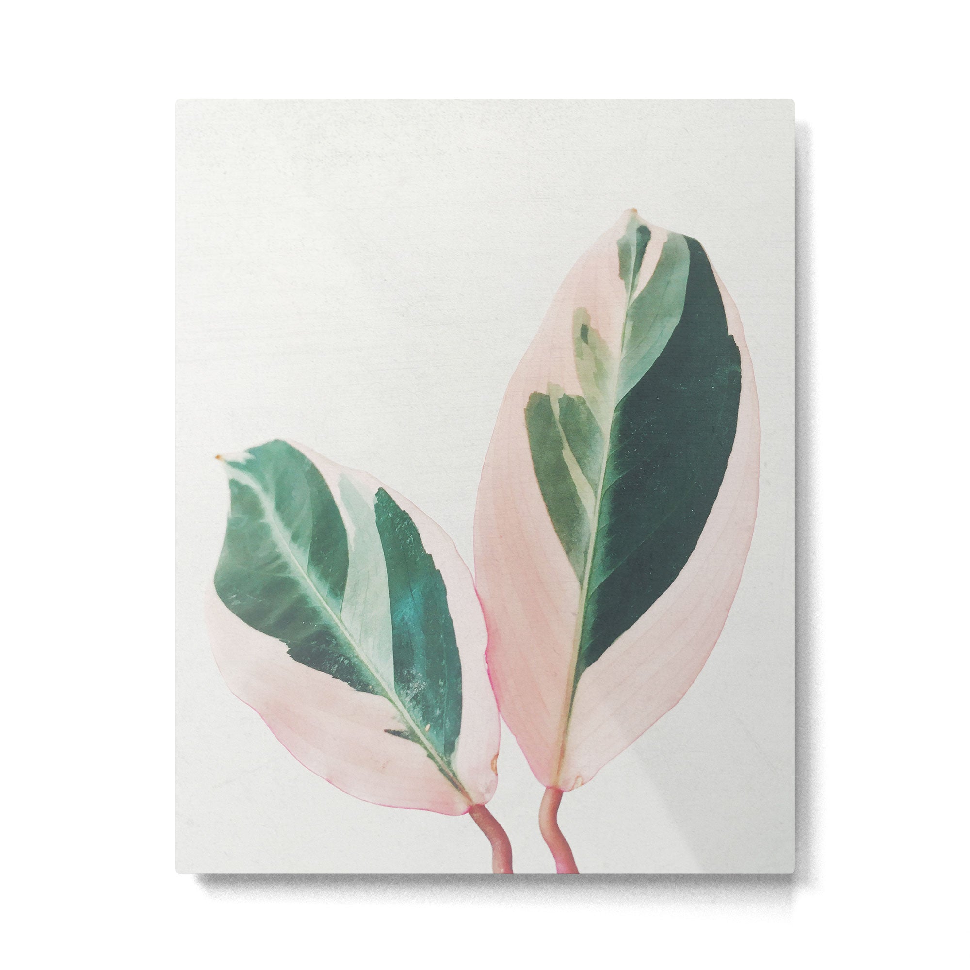 Pink Leaves I Metal Print Gallery Image 6
