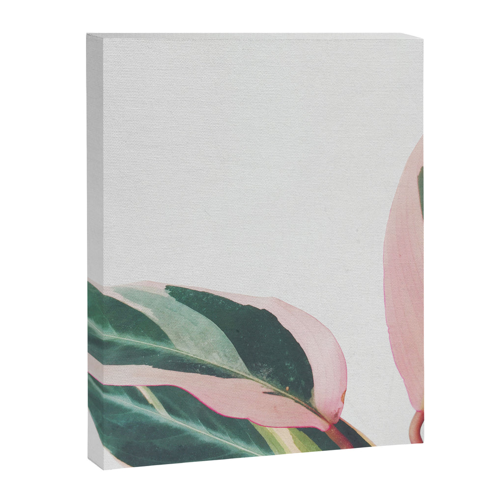 Pink Leaves II Canvas Print Gallery Image 8