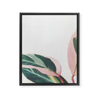 Pink Leaves II Framed Canvas Print Gallery Image 8