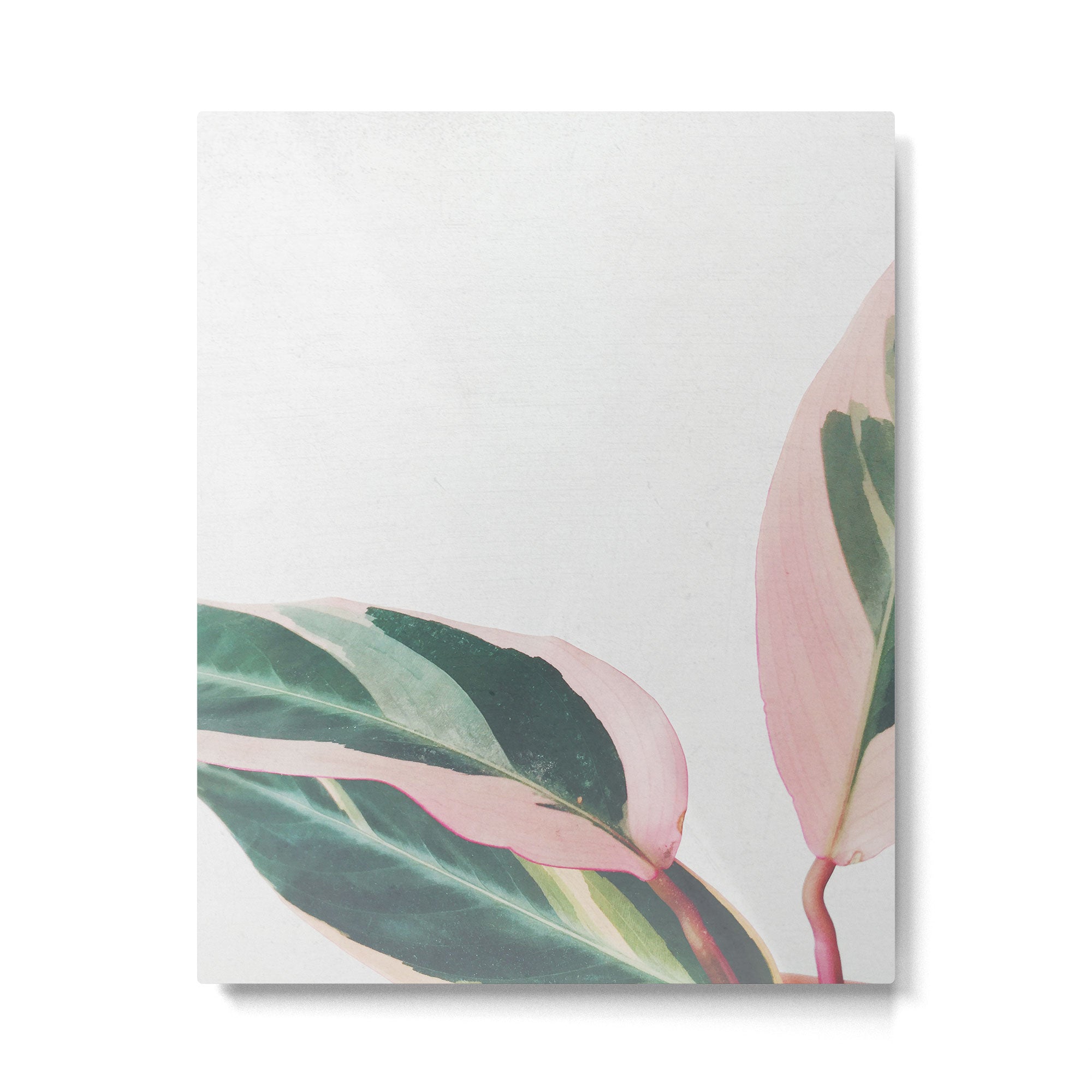 Pink Leaves II Metal Print Gallery Image 6