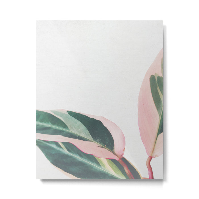 Pink Leaves II Metal Print Gallery Image 1