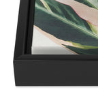 Pink Leaves III Framed Canvas Print Gallery Image 3