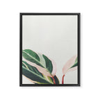 Pink Leaves III Framed Canvas Print Gallery Image 8