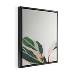 Pink Leaves III Framed Canvas Print Gallery Image 2