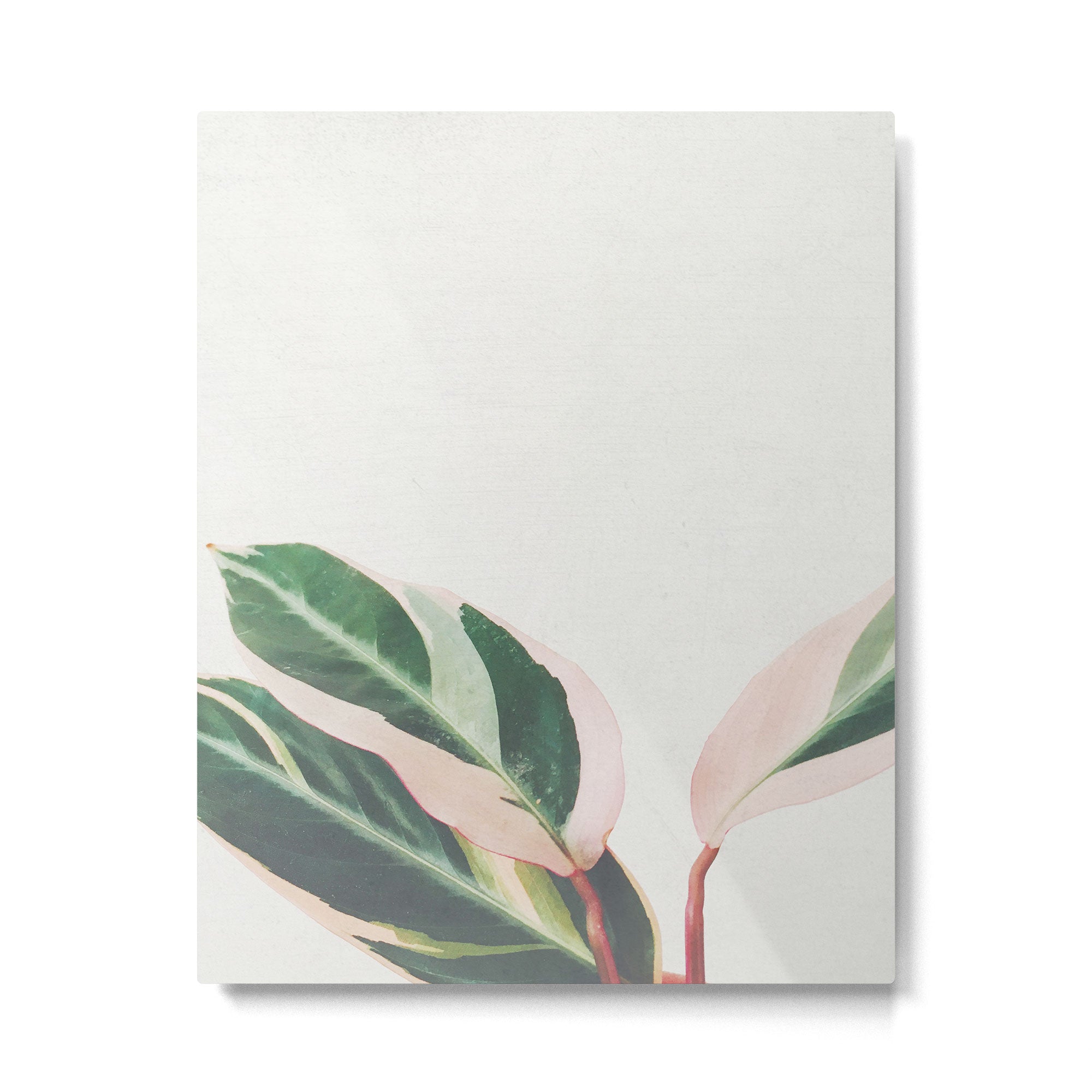 Pink Leaves III Metal Print Gallery Image 6