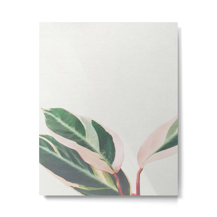 Pink Leaves III Metal Print Gallery Image 1