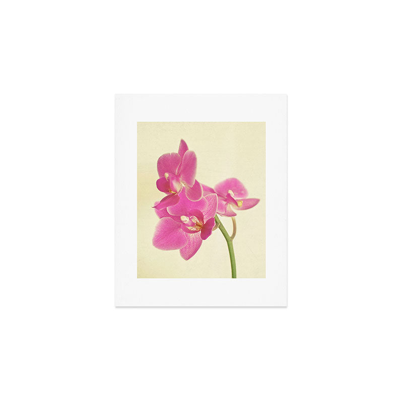 Pink Orchid Art Print Gallery Image 1