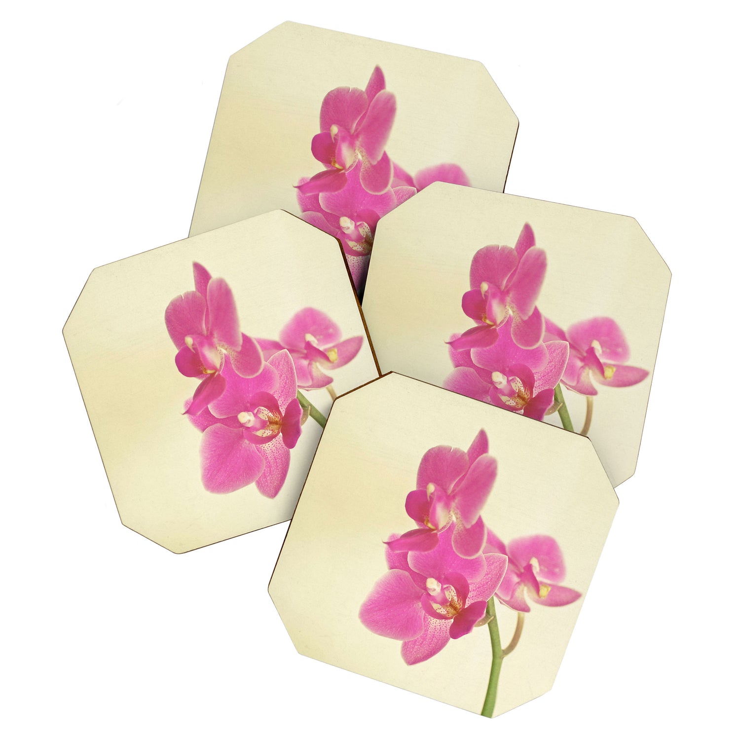 Pink Orchid Coaster Gallery Image 1