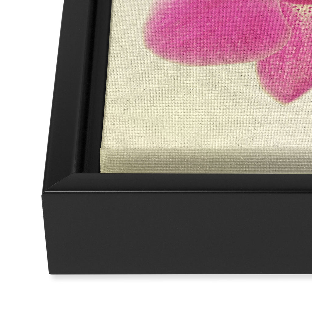 Pink Orchid Framed Canvas Print Gallery Image 3