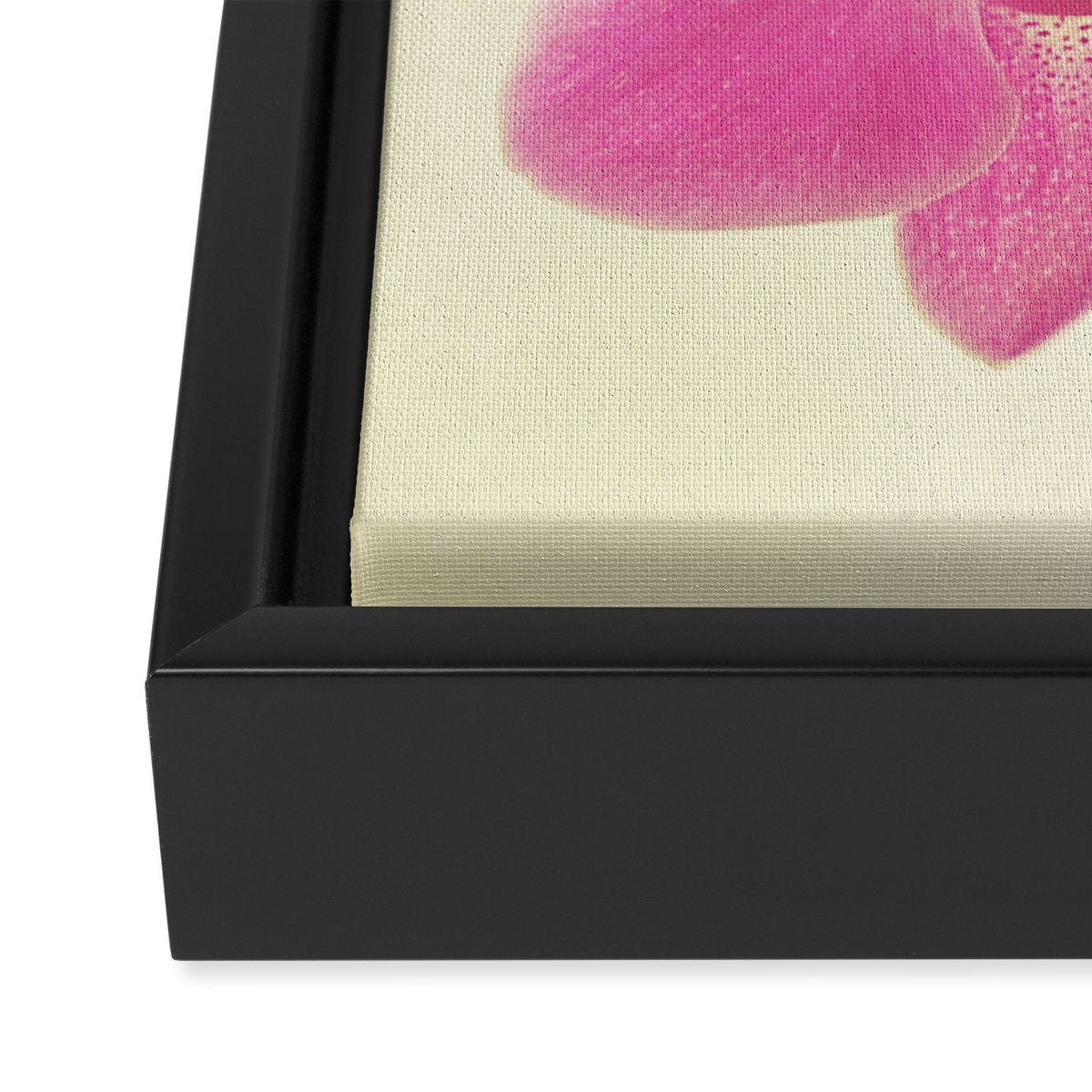 Pink Orchid Framed Canvas Print Gallery Image 3