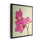 Pink Orchid Framed Canvas Print Gallery Image 2