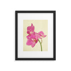 Pink Orchid Framed Art Print Gallery Image 4