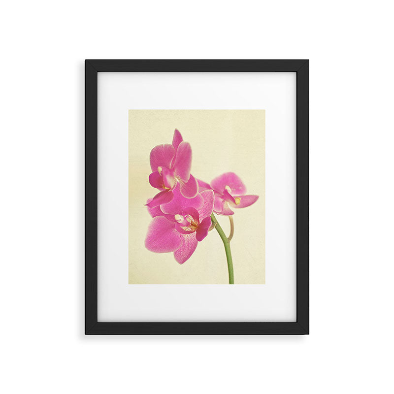 Pink Orchid Framed Art Print Gallery Image 4