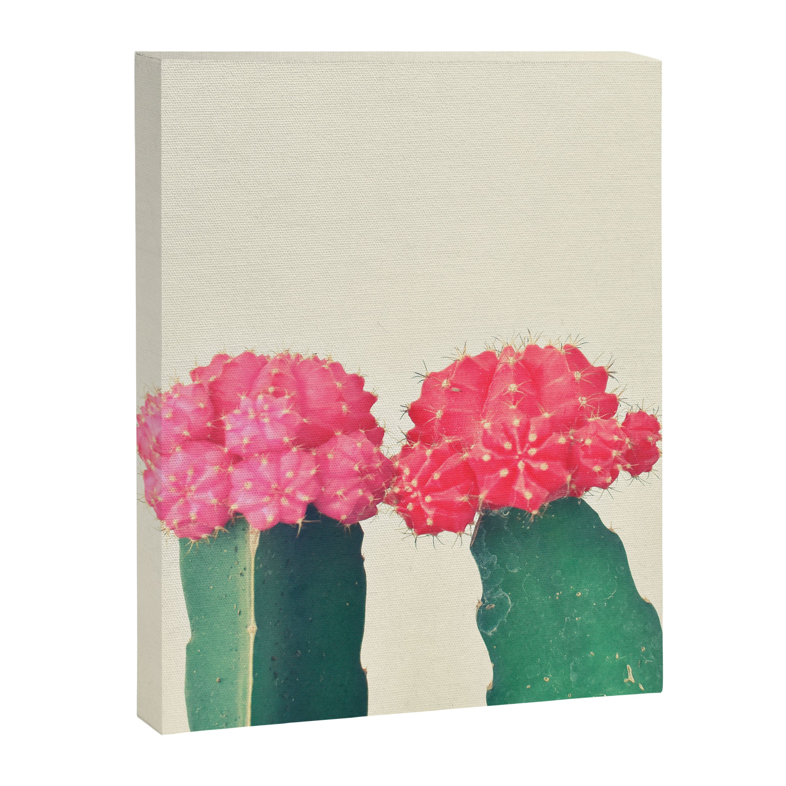 Plaid Cacti Canvas Print Gallery Image 8