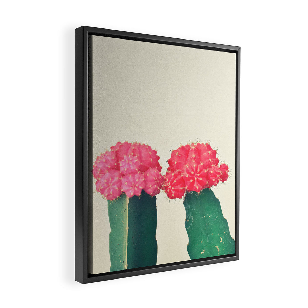 Plaid Cacti Framed Canvas Print Gallery Image 2