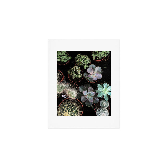 Plant Collection Art Print Gallery Image 1