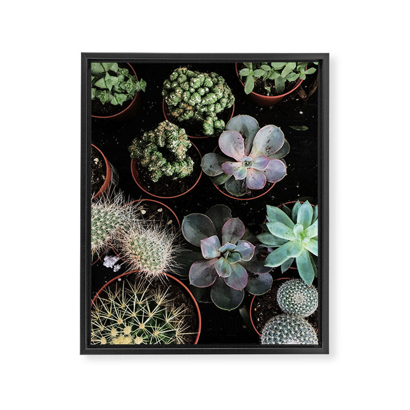 Plant Collection Framed Canvas Print Gallery Image 8