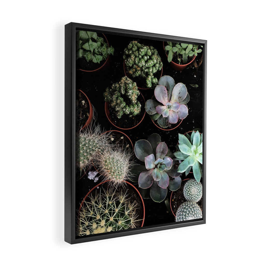 Plant Collection Framed Canvas Print Gallery Image 2
