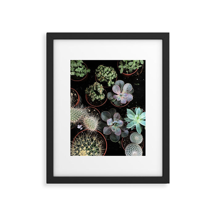 Plant Collection Framed Art Print Gallery Image 1