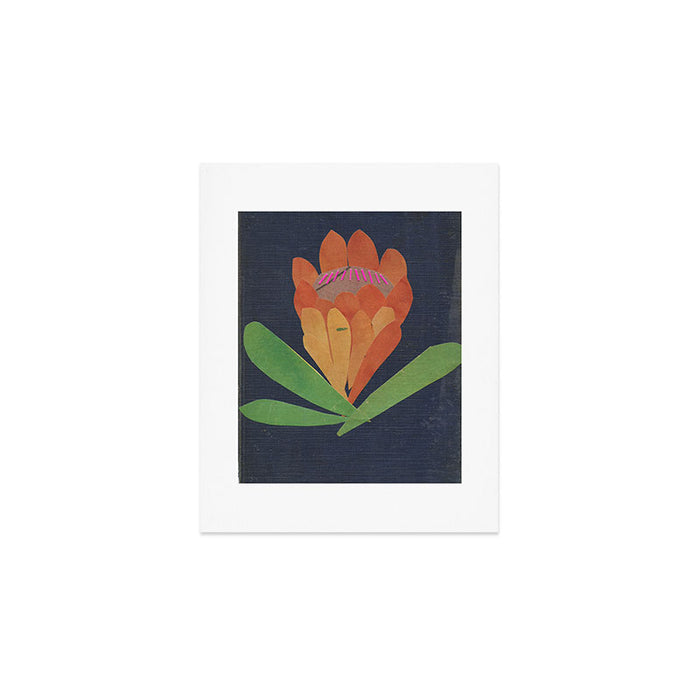Protea Art Print Gallery Image 1