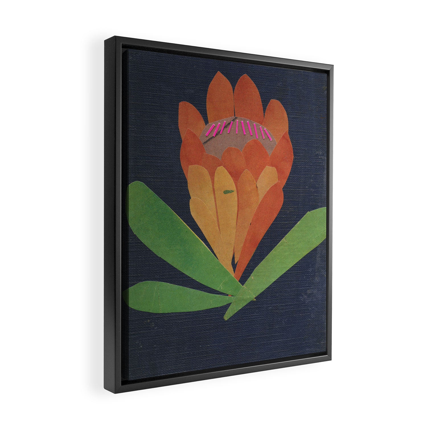 Protea Framed Canvas Print Gallery Image 2