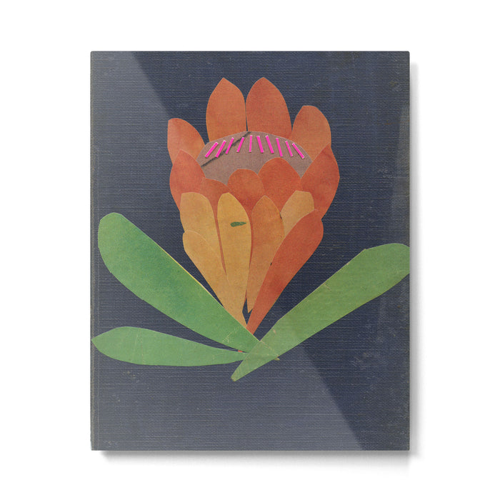 Protea Metal Print Gallery Image 1