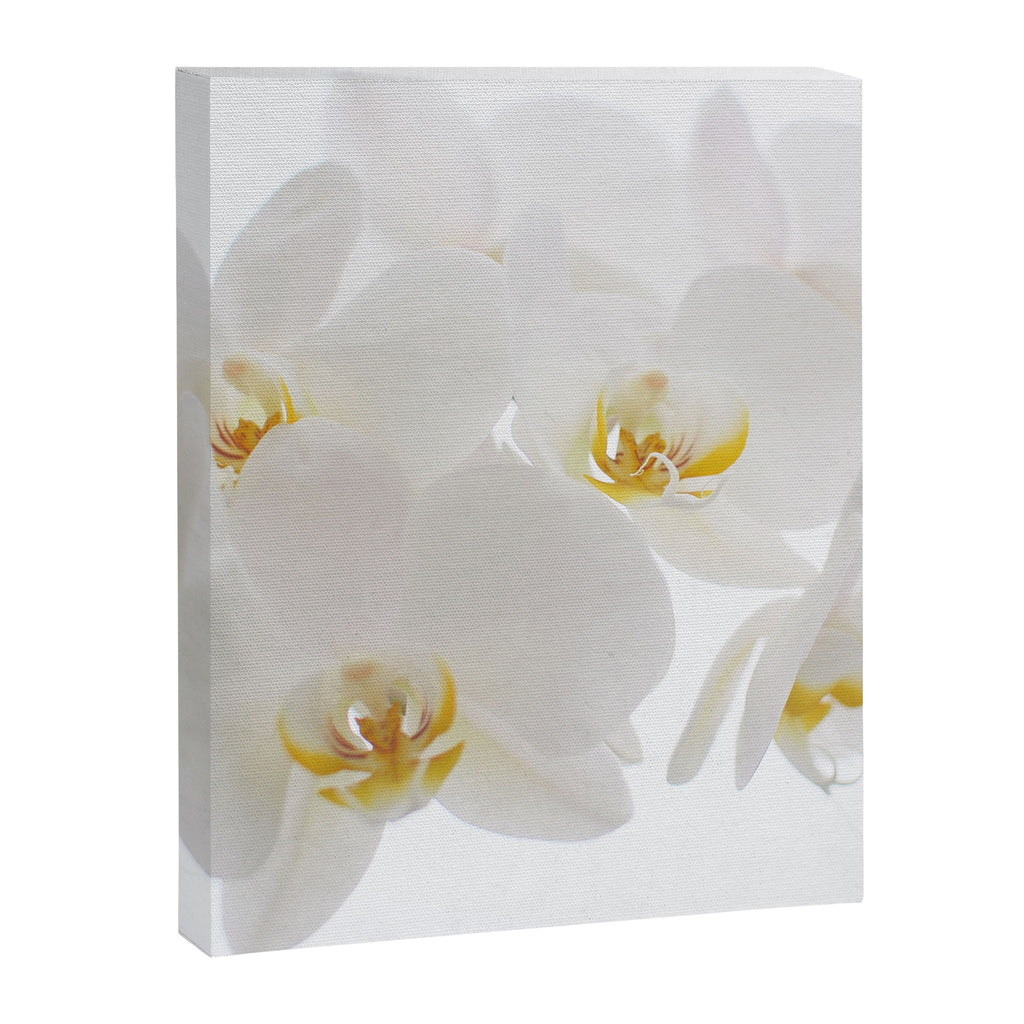 Pure Canvas Print Gallery Image 8