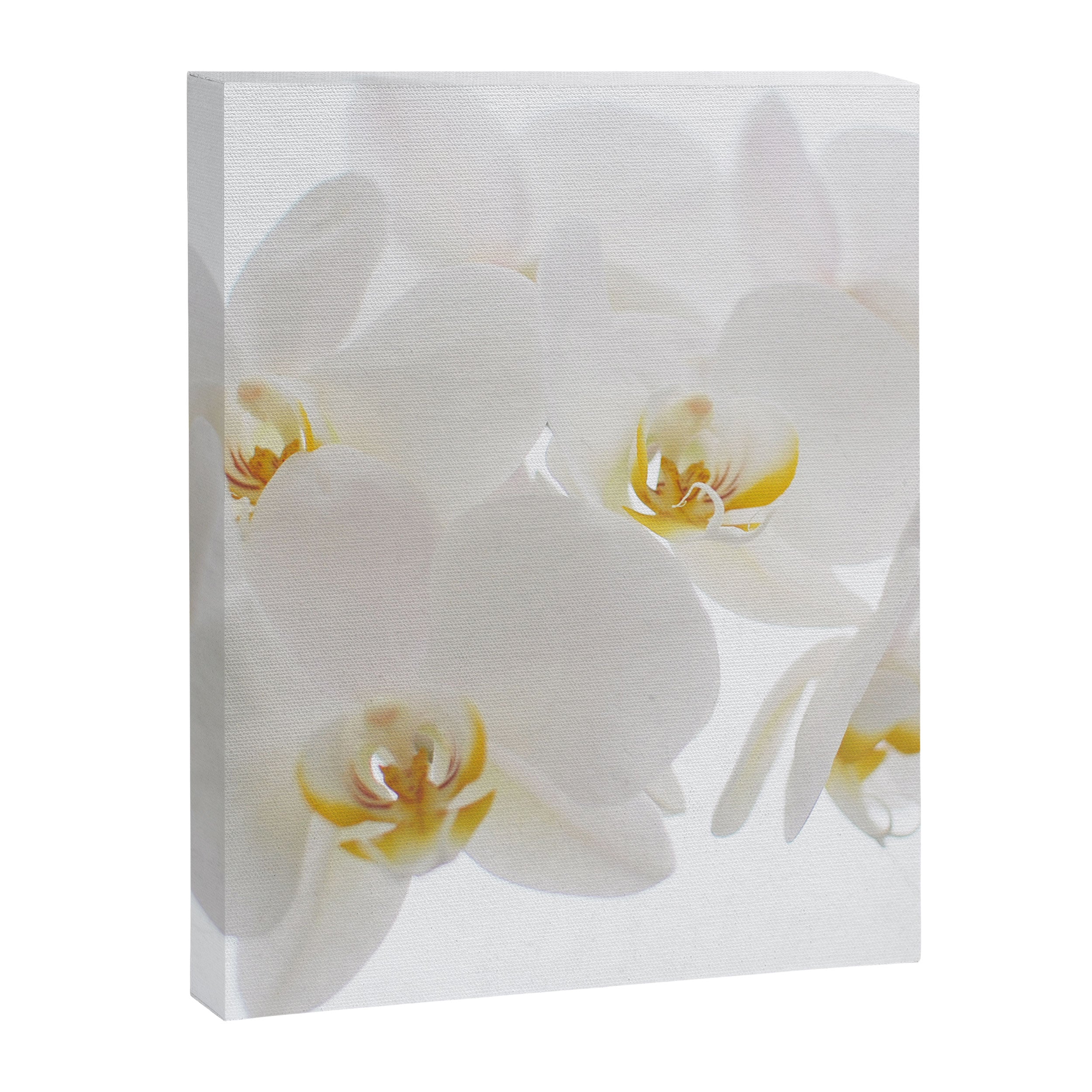 Pure Canvas Print Gallery Image 8