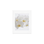 Pure Art Print Gallery Image 1