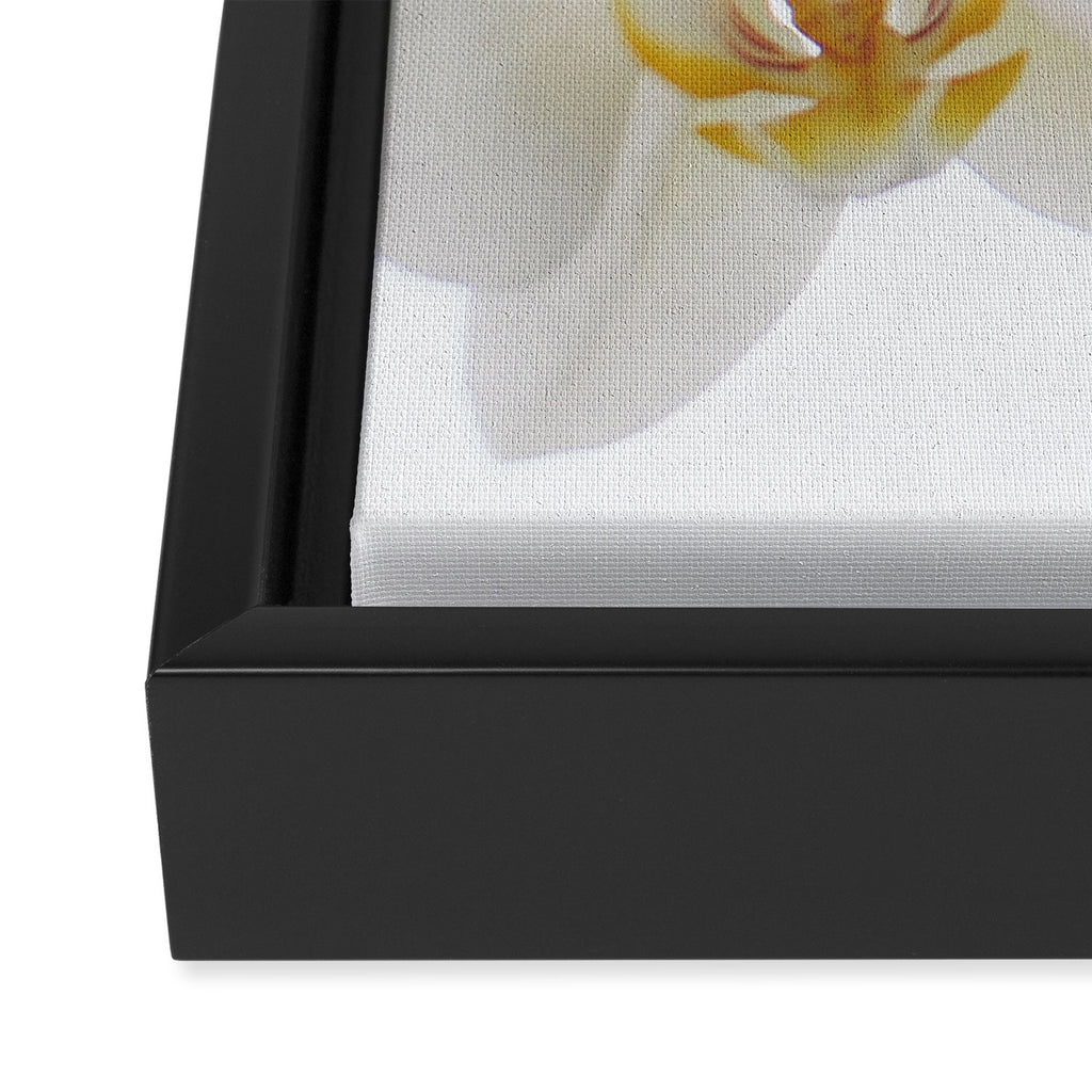 Pure Framed Canvas Print Gallery Image 3