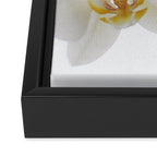 Pure Framed Canvas Print Gallery Image 3