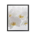 Pure Framed Canvas Print Gallery Image 8