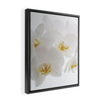 Pure Framed Canvas Print Gallery Image 2