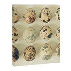 Quail Eggs Canvas Print Gallery Image 8