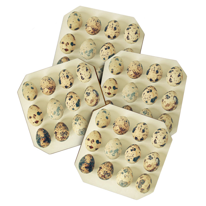 Quail Eggs Coaster Gallery Image 1