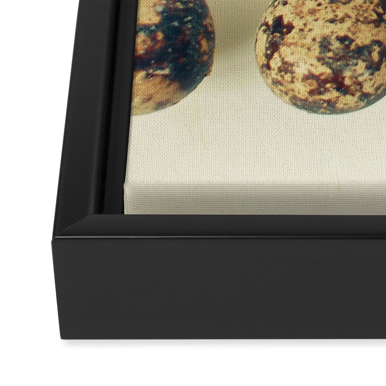 Quail Eggs Framed Canvas Print Gallery Image 3