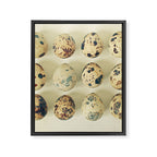 Quail Eggs Framed Canvas Print Gallery Image 8