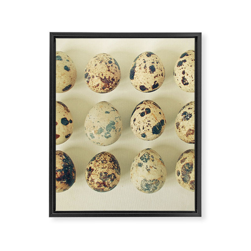 Quail Eggs Framed Canvas Print Gallery Image 8