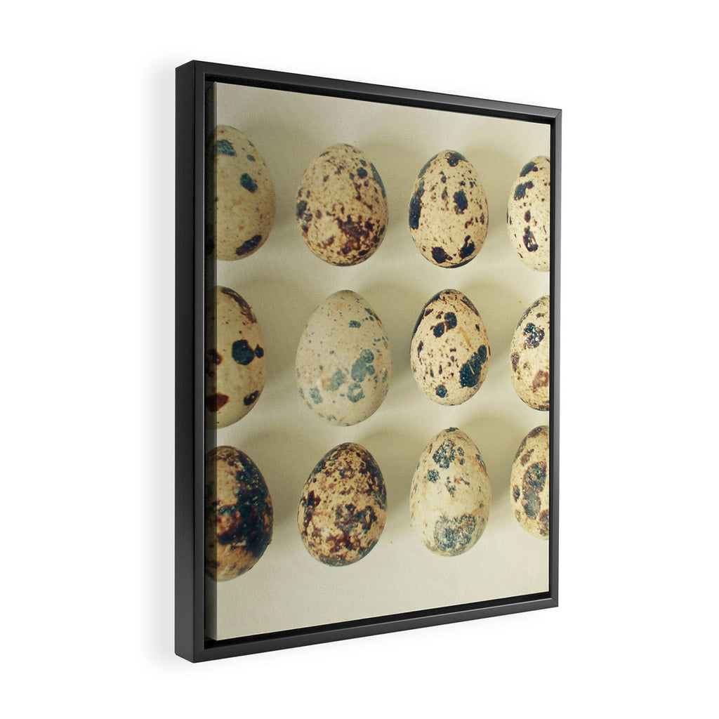 Quail Eggs Framed Canvas Print Gallery Image 2