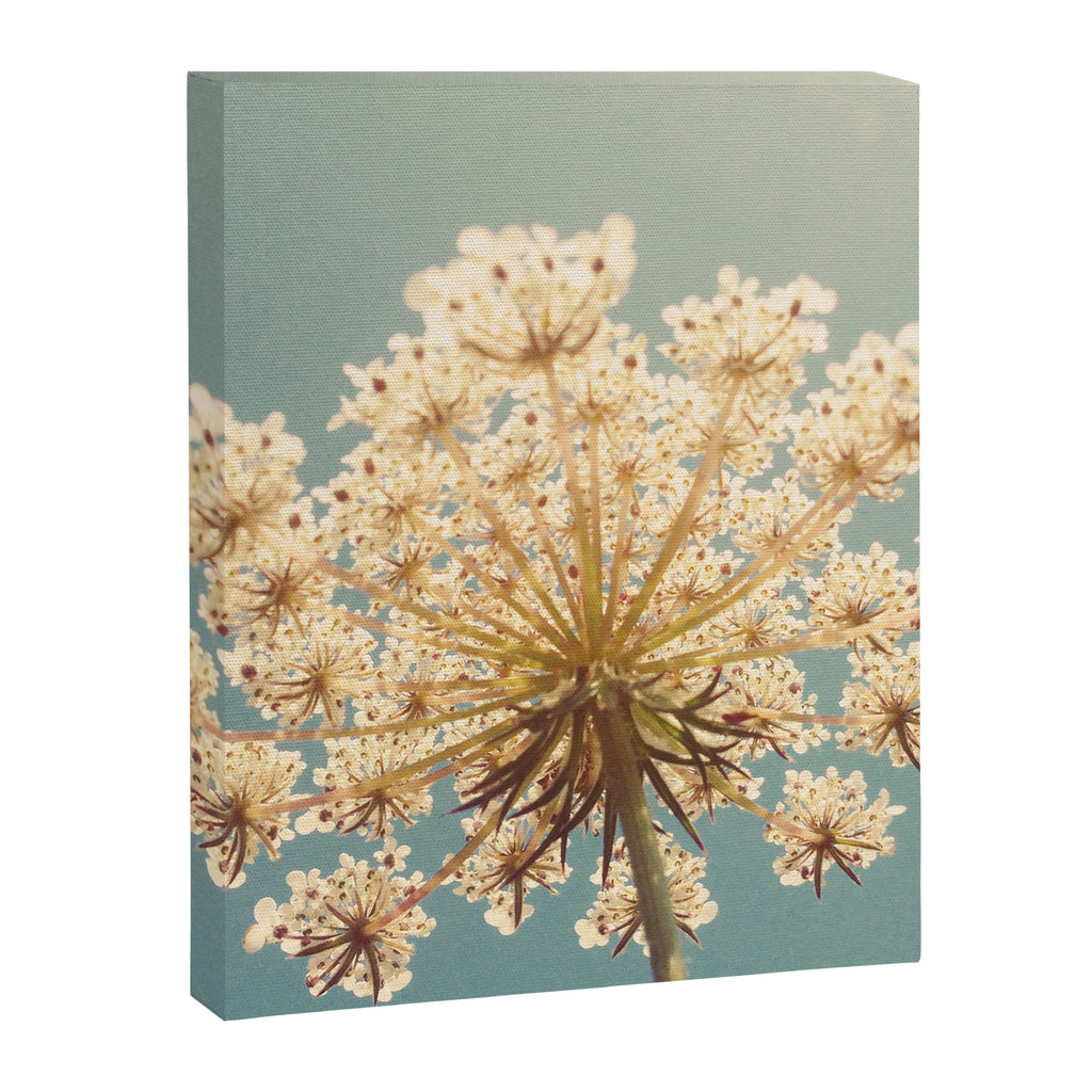 Queen Anne's Lace Canvas Print Gallery Image 8