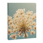 Queen Anne's Lace Canvas Print Gallery Image 8