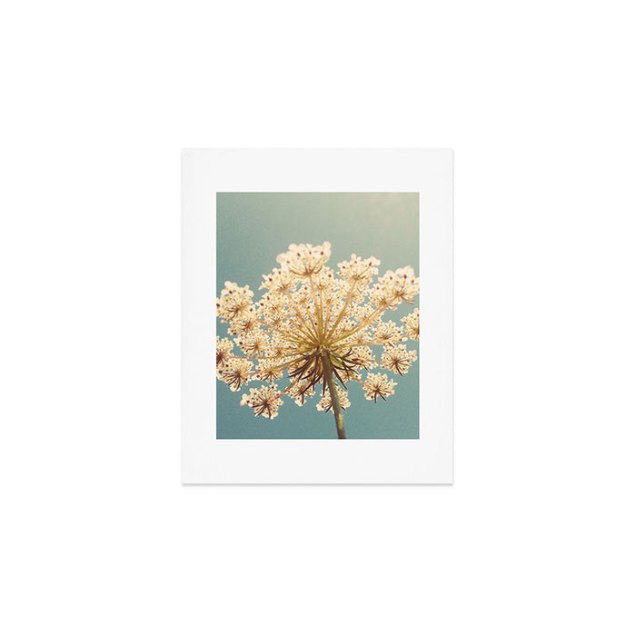 Queen Anne's Lace Art Print Gallery Image 1
