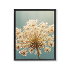 Queen Anne's Lace Framed Canvas Print Gallery Image 8