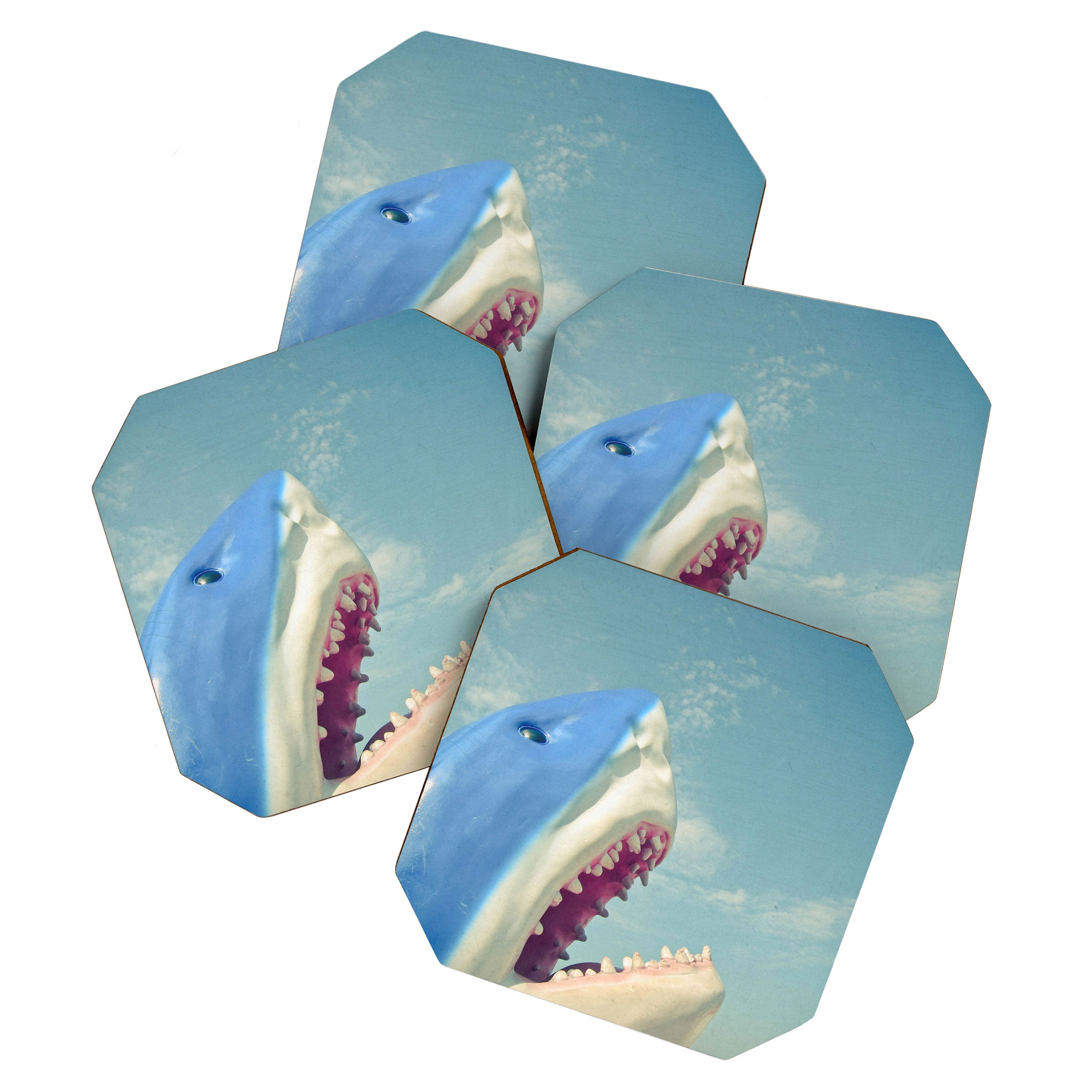 Shark! Coaster Gallery Image 1